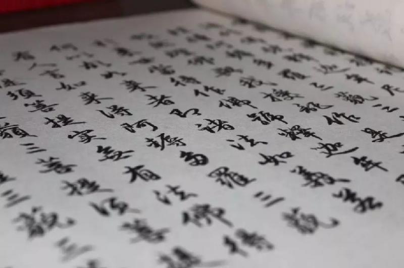她素食28年，婚後8次懷孕4次流產，慘遭拋棄，皈依佛門，75歲活出最美人生！