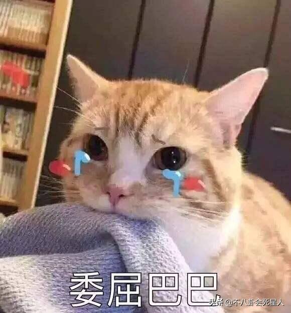 她顏值擊敗邱淑貞，劉德華都看呆，今55歲，一雙電眼太迷人