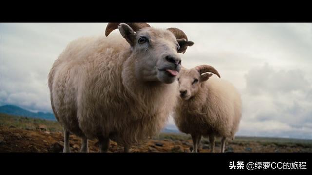 不容錯過的治癒系風景大片「 白日夢想家 」