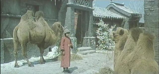 36年了，為何這部國產片能至今讓人「回味」？因為：故事特別乾淨