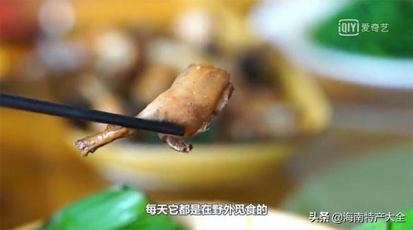 刷新外地人三觀的海南奇葩美食，最後一名真的不敢吃！