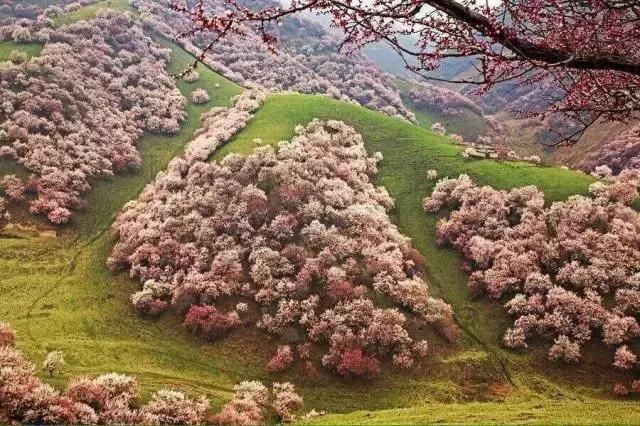 一條老國道，橫跨天山南北，一路包攬新疆所有的景觀，美不勝收