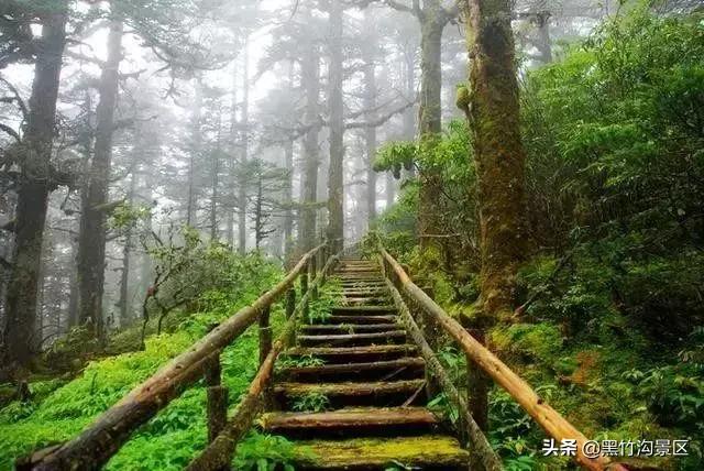 這個川內避暑聖地，一般人真的不知道