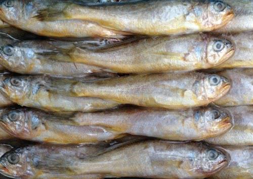 5種「被顏值拖後腿」的海魚，味道好性價比高，全買的會過日子
