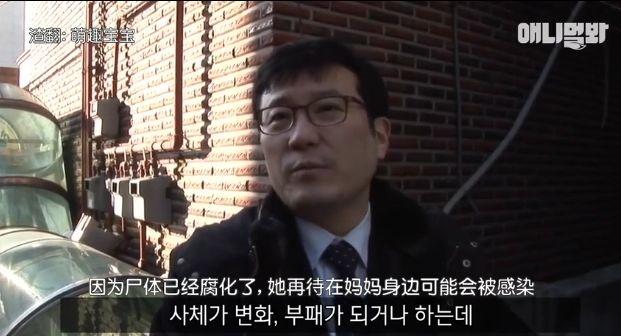 小貓不知媽媽死了，把撿到的肉餵給媽媽，自己胃裡全是石頭跟樹枝