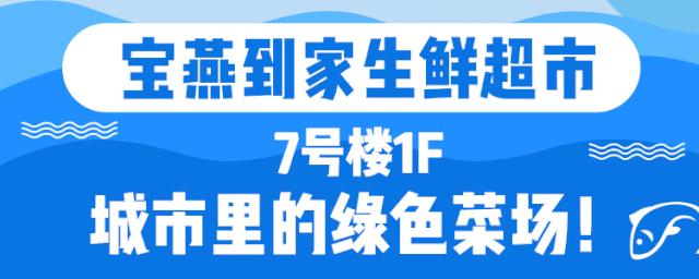 又要被擠爆！30000㎡魔都海鮮霸主登陸京城，波士頓龍蝦滿就送