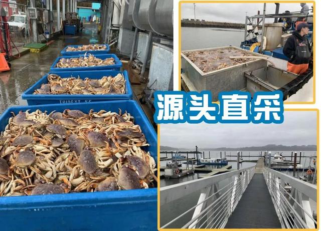 又要被擠爆！30000㎡魔都海鮮霸主登陸京城，波士頓龍蝦滿就送