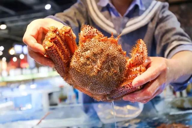 又要被擠爆！30000㎡魔都海鮮霸主登陸京城，波士頓龍蝦滿就送