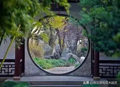 做古典園林景觀設計，這些植物怎可不知？