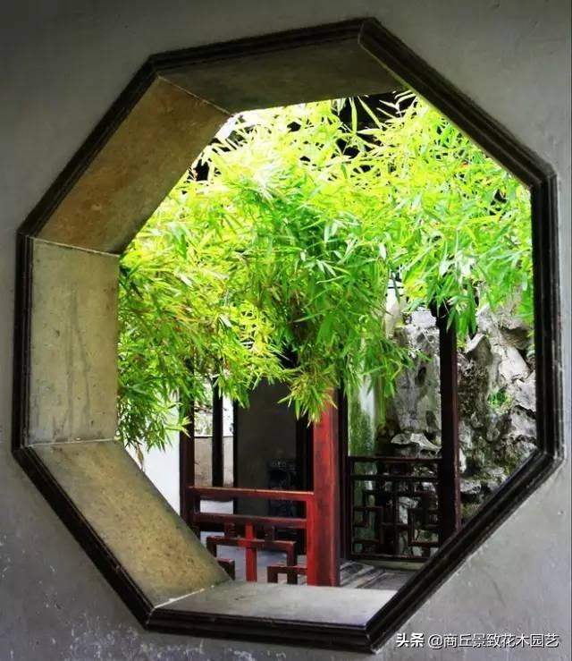 做古典園林景觀設計，這些植物怎可不知？