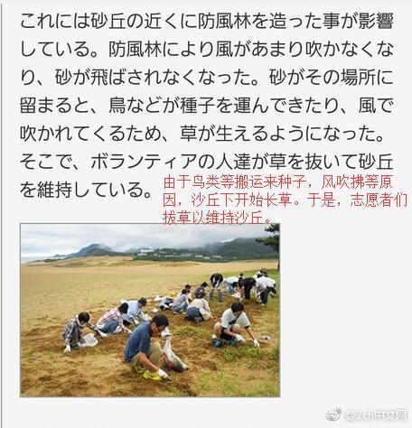 日本網民吐槽：日本鳥取沙丘草原化，於是當地開始除草以維持沙丘