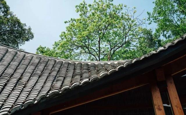 道明竹里成為全國首批五星級民宿候選單位