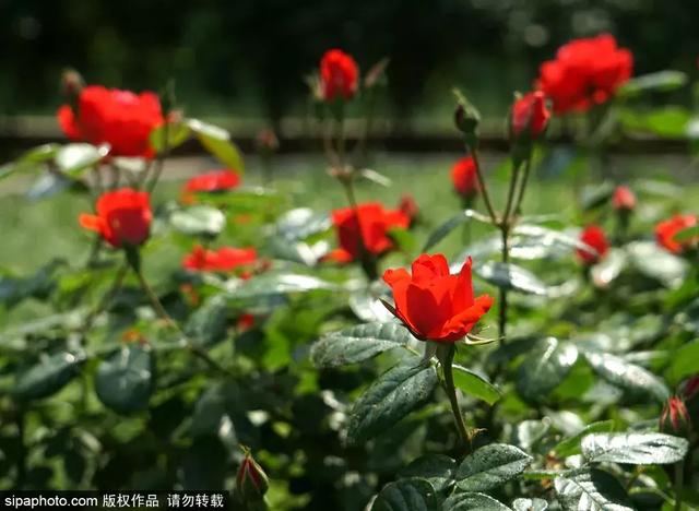 北京中軸線上這處世界遺產，開放了封閉70年的區域！現在去剛剛好！