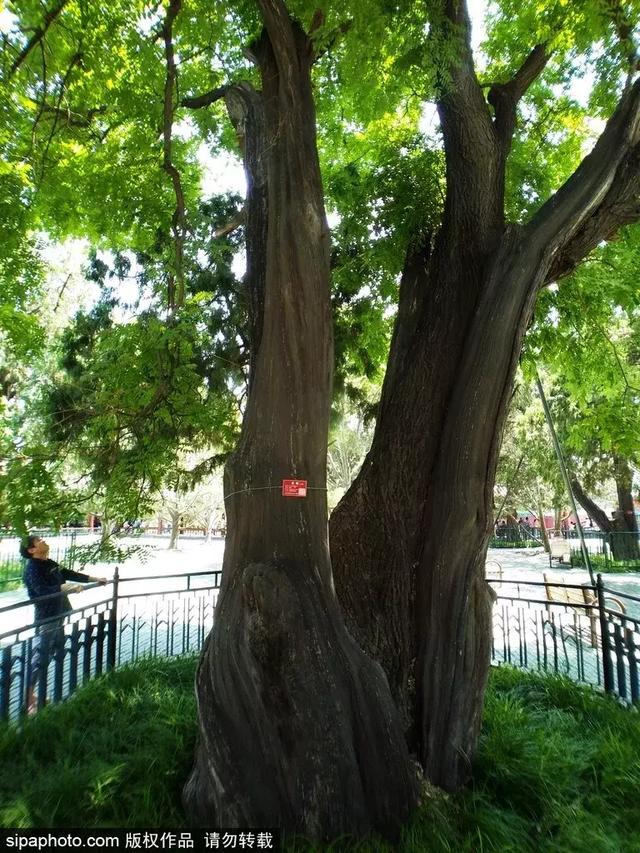 北京中軸線上這處世界遺產，開放了封閉70年的區域！現在去剛剛好！