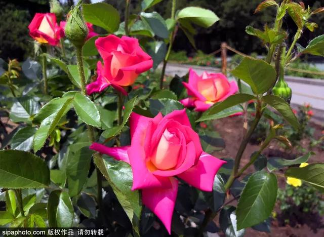 北京中軸線上這處世界遺產，開放了封閉70年的區域！現在去剛剛好！