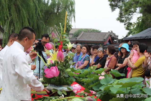清涼夏日，你不只需要空調和西瓜，還有這份京城賞荷攻略