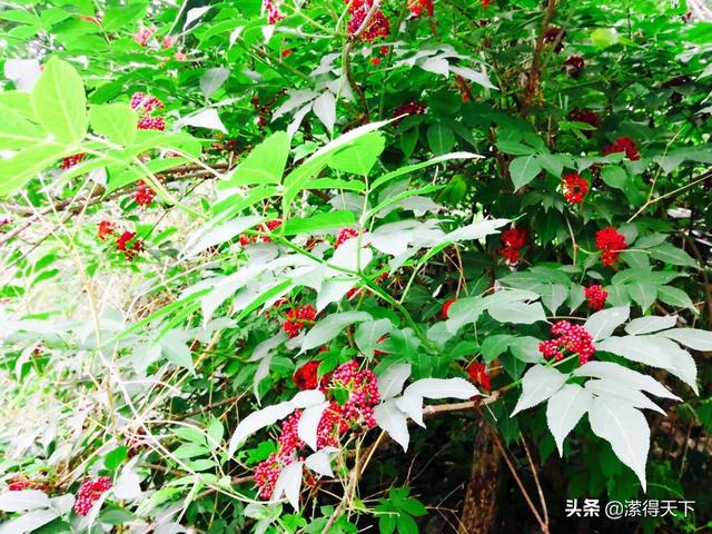 南太行晉門腳下9旬老人居住在「上百年的土屋裡」不曾離開