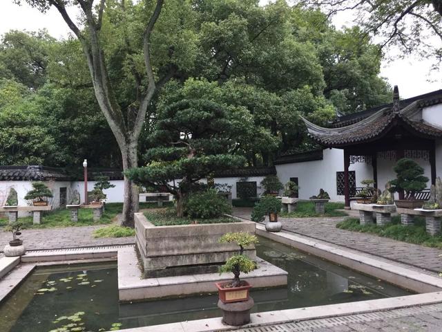 吃喝玩樂攻略打包給你！上海地鐵竟成了旅遊線？穿越花海、暢遊古鎮、樂享美食…跟我們一站一站游過去