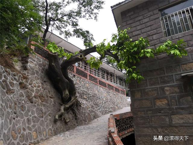父親節獻給父親最特別的愛——秋溝遊記
