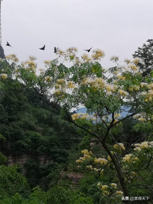 父親節獻給父親最特別的愛——秋溝遊記