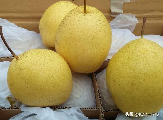 石家莊趙縣6大特色美食