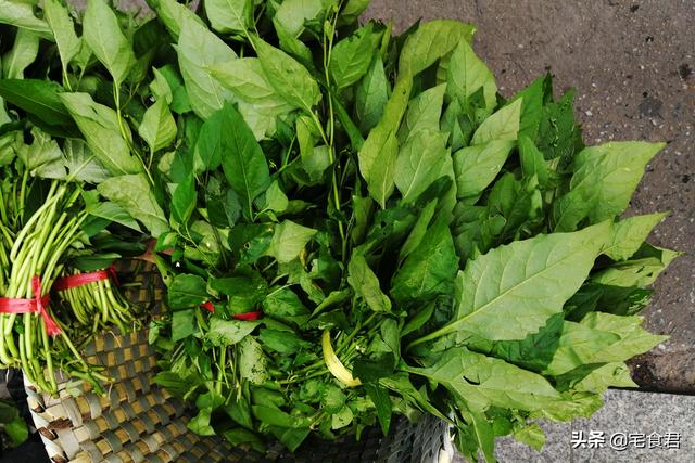 這個菜在農村視為雜草，在城裡是餐桌上的新貴，能清熱祛濕