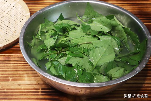 這個菜在農村視為雜草，在城裡是餐桌上的新貴，能清熱祛濕