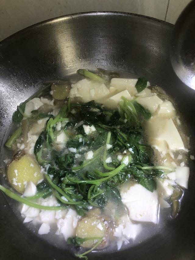 14道好吃不上火的夏天湯菜，老公能喝兩大碗，上桌就搶光