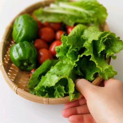 回味無窮的青椒香糕格子三明治來拯救你的胃