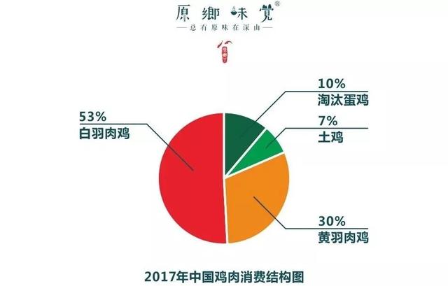 洋雞入侵，我們的雞肉越來越沒有味道了