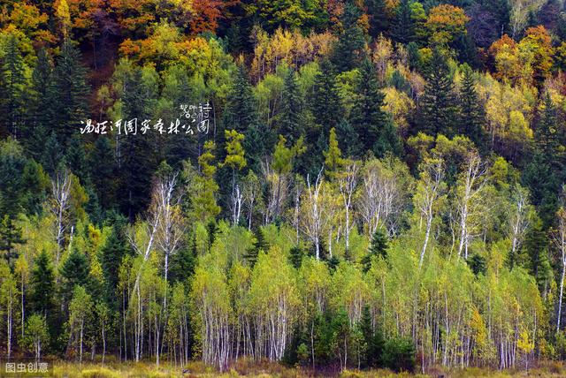 秋天古詩詞100卷 已覺秋窗秋不盡，那堪風雨助淒涼