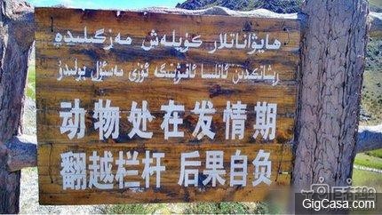 31張足夠讓你笑翻一整天的美女內涵圖