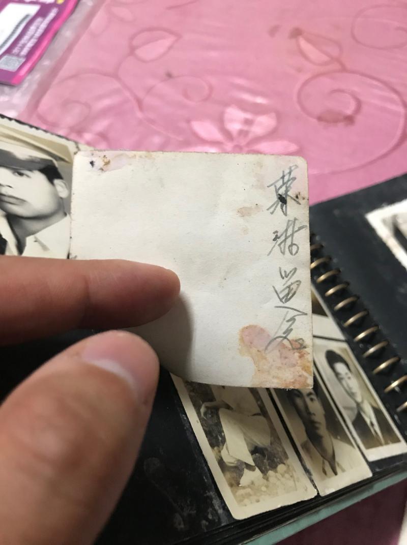 最強阿嬤「把台灣黑熊當狗養」　照片真相曝光「故事結局逆轉」