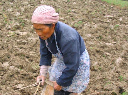 母親分財產：錢給老大、房給老二、最孝順的老三隻拿一封信，看完當場跪下！
