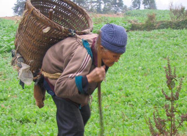 母親分財產：錢給老大、房給老二、最孝順的老三隻拿一封信，看完當場跪下！