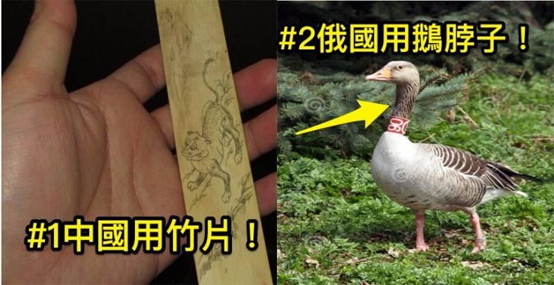5個讓我們來探討下古時候中國各個朝代、其他國家的皇室貴族們都用什麼擦屁屁的工具