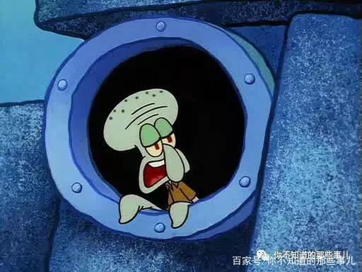 你真的看懂海綿寶寶了嗎？