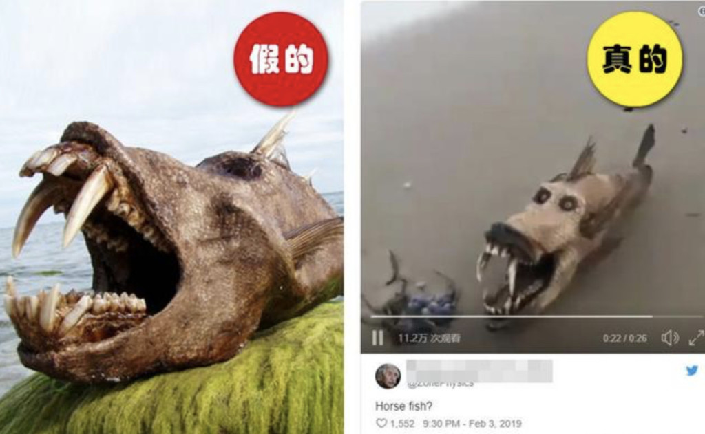 é¨äººæ°å¤ªå®¹æï¼9å¼µè­æãå³æ­åæ¶æ¯å¯¦å¨å¤ªç°¡å®ãæå¤§å®¶é¨æçç¶²è·¯ç±éç§