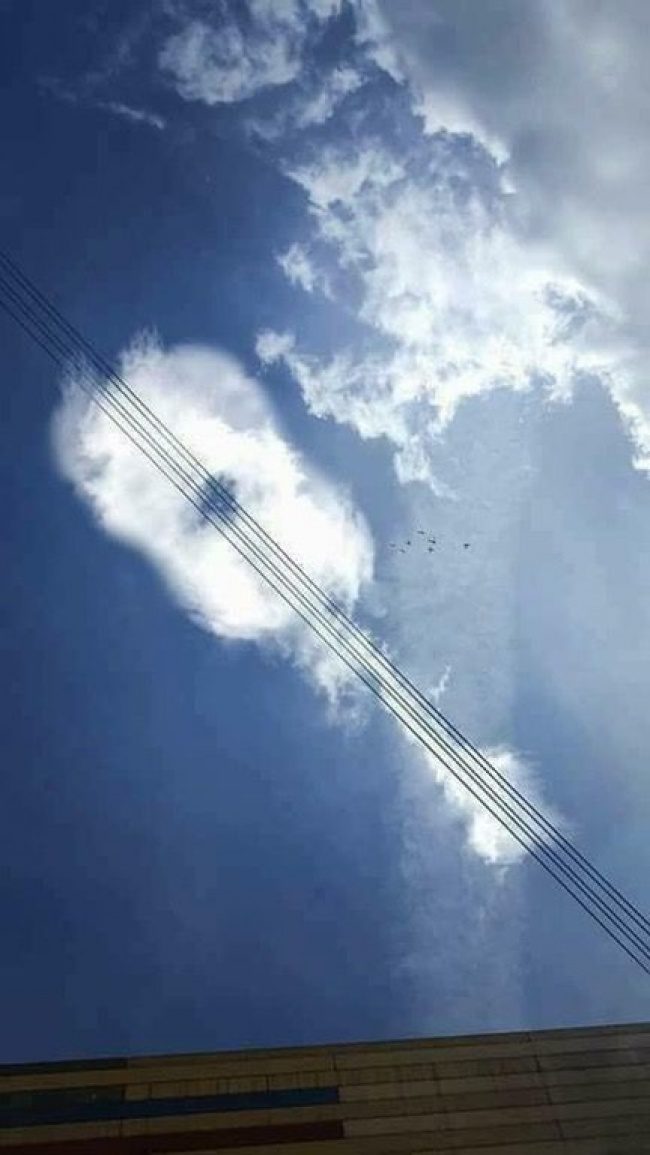 24張「盯著看3秒就會想歪」的超爆笑照片　他竟然在公車上看到詭異生物！