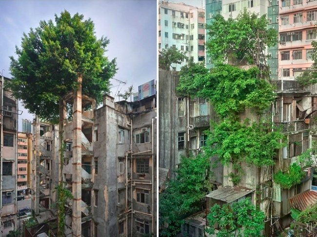 26張人類與大自然較量的照片，在強大的自然面前，我們除了驚嘆，沒有其他的辦法啊！