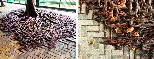 26張人類與大自然較量的照片，在強大的自然面前，我們除了驚嘆，沒有其他的辦法啊！