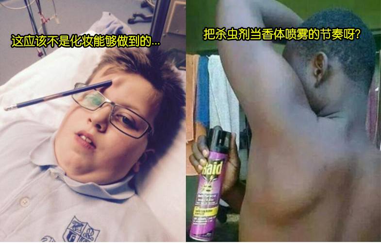 19張怪異而又有趣的照片，絕對滿足你的視覺享受需求~~1.是什麼原因讓貓咪整隻貓縮進去的？