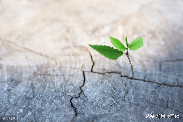 用開放包容的胸懷面對世界，忠於事實，修訂我們的人生地圖