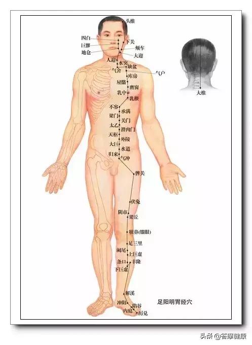 為什麼胃腸不舒服，按揉足三里卻不痛呢？