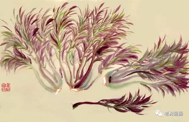 老樹 ｜ 新花覆小巷，野菜生荒田。  欲嘗春滋味，清炒少放鹽
