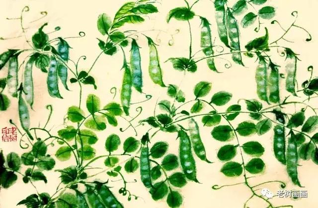 老樹 ｜ 新花覆小巷，野菜生荒田。  欲嘗春滋味，清炒少放鹽