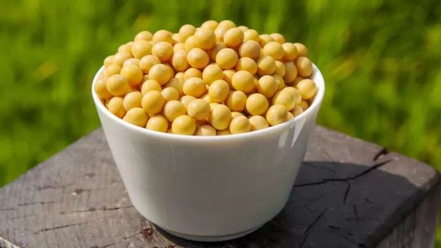 夏季這5種「黃金」食物，補脾養胃，吃出好氣色！