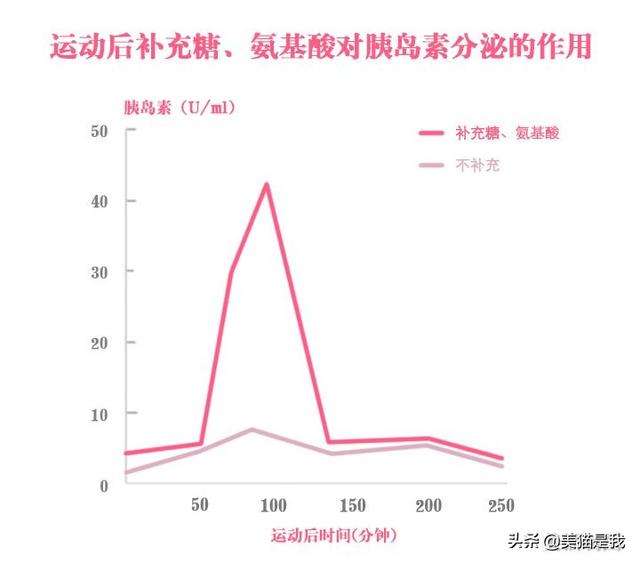 運動後要吃東西，你會越吃越瘦！