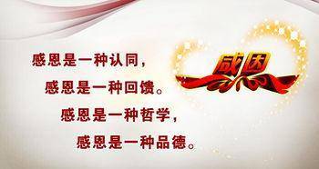不知感恩的人，是最可怕也最貧窮的人