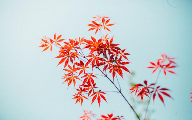 當你被人看不起，落魄無助的時候，請牢記四句話